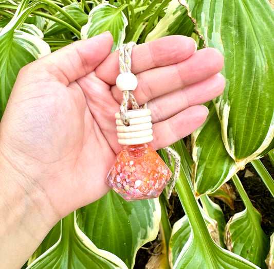 Hanging Reed Diffuser - Watermelon Punch