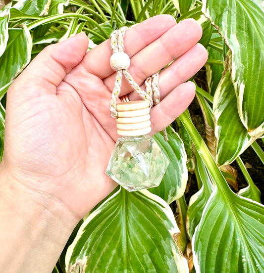 Hanging Reed Diffuser - Monkey Farts