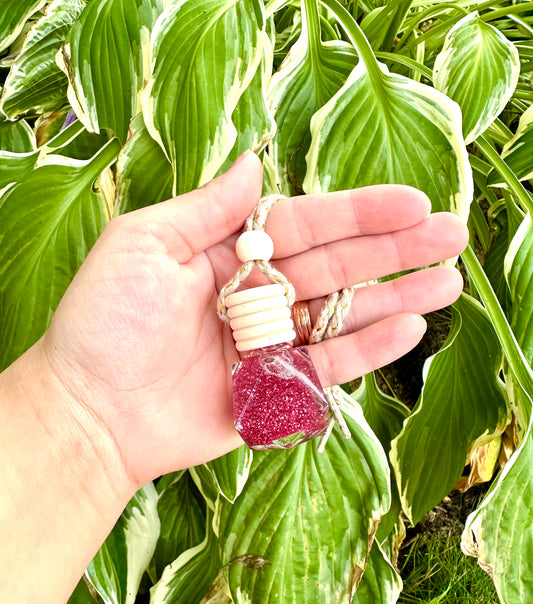 Hanging Reed Diffuser - Monkey Farts