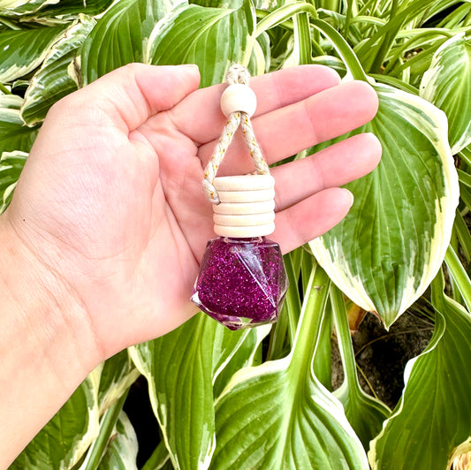 Hanging Reed Diffuser - Black Raspberry Vanilla